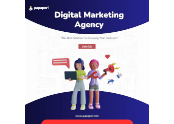 Papaperi-digital-marketing-agency-Digital-marketing-agency-Bilaspur-Chhattisgarh-2