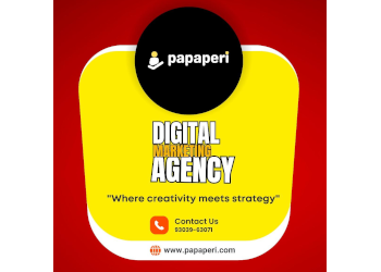Papaperi-digital-marketing-agency-Digital-marketing-agency-Bilaspur-Chhattisgarh-3