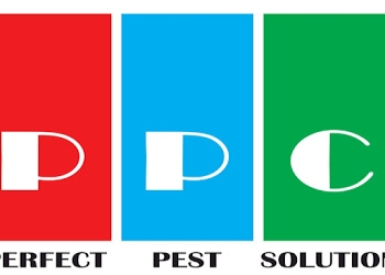 Patil-pest-control-and-cleaning-solutions-Pest-control-services-Balewadi-pune-Maharashtra-1