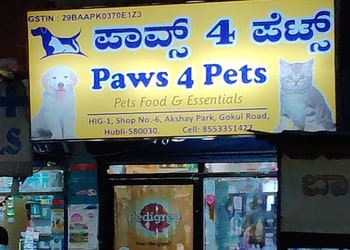 Paws-4-pets-Pet-stores-Hubballi-dharwad-Karnataka-1
