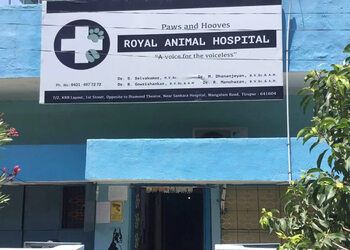 Paws-and-hooves-royal-animal-hospital-Veterinary-hospitals-Gandhipuram-coimbatore-Tamil-nadu-1