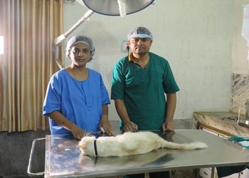 Paws-n-claws-pet-clinic-Veterinary-hospitals-Raipur-Chhattisgarh-1