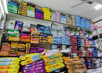 Paws-n-furs-Pet-stores-Bandra-mumbai-Maharashtra-2