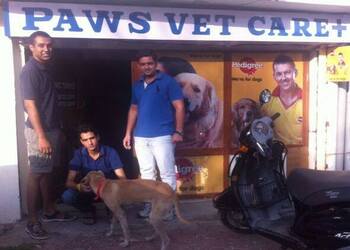 Paws-vet-care-Veterinary-hospitals-Rohtak-Haryana-1
