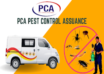 Pca-pest-control-assurance-Pest-control-services-Adarsh-nagar-jalandhar-Punjab-2
