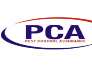 Pca-pest-control-assurance-Pest-control-services-Guru-teg-bahadur-nagar-jalandhar-Punjab-1