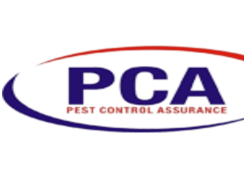 Pca-pest-control-assurance-Pest-control-services-Model-town-jalandhar-Punjab-1