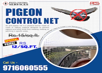 Pcs-enterprises-Pest-control-services-Sahibabad-ghaziabad-Uttar-pradesh-2