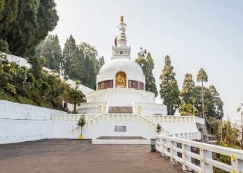 Peace-pagoda-Temples-Darjeeling-West-bengal-2