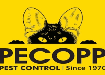 Pecopp-pest-control-services-Pest-control-services-Andheri-mumbai-Maharashtra-1