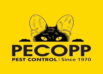 Pecopp-pest-control-services-Pest-control-services-Borivali-mumbai-Maharashtra-1