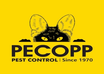 Pecopp-pest-control-services-Pest-control-services-Cyber-city-gurugram-Haryana-1