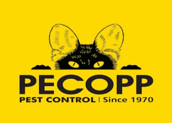 Pecopp-pest-control-services-Pest-control-services-Gurugram-Haryana-1