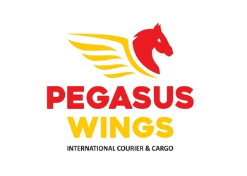 Pegasus-wings-international-courier-cargo-Courier-services-Rajkot-Gujarat-1