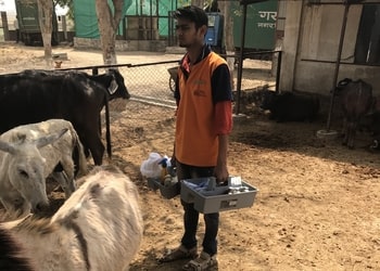 People-for-animals-Veterinary-hospitals-Civil-lines-agra-Uttar-pradesh-3