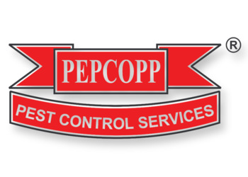Pepcopp-pest-control-services-pvt-ltd-Pest-control-services-Churchgate-mumbai-Maharashtra-1
