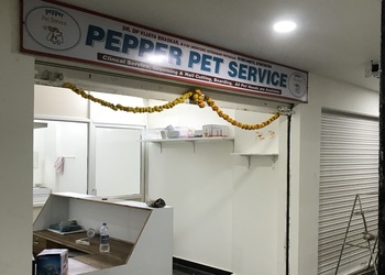 Pepper-pet-services-Pet-stores-Yemmiganur-kurnool-Andhra-pradesh-1
