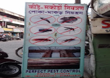 Perfect-pest-control-Pest-control-services-Matigara-siliguri-West-bengal-1