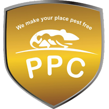 Perfect-pest-control-services-Pest-control-services-Udaipur-Rajasthan-1