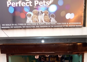 Perfect-pets-Pet-stores-Sambalpur-Odisha-1