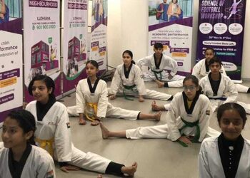 Perfect-taekwondo-academy-Martial-arts-school-Ludhiana-Punjab-3