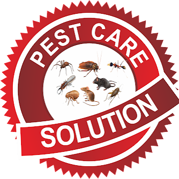 Pest-care-solution-Pest-control-services-Patna-junction-patna-Bihar-1