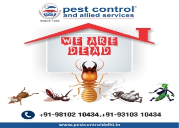 Pest-control-and-allied-services-private-limited-Pest-control-services-Ghaziabad-Uttar-pradesh-1