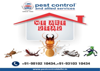 Pest-control-and-allied-services-private-limited-Pest-control-services-Mohan-nagar-ghaziabad-Uttar-pradesh-1