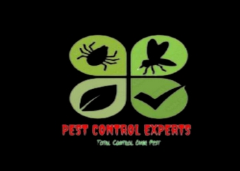 Pest-control-experts-Pest-control-services-Dehradun-Uttarakhand-1