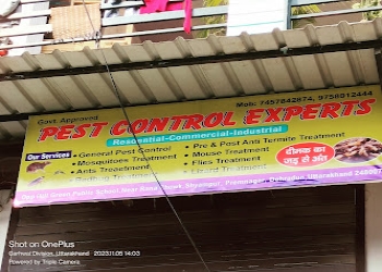 Pest-control-experts-Pest-control-services-Dehradun-Uttarakhand-2