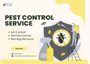 Pest-control-hyderabad-Pest-control-services-Khairatabad-hyderabad-Telangana-1