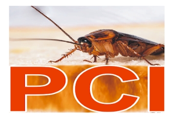 Pest-control-initial-Pest-control-services-Charbagh-lucknow-Uttar-pradesh-1