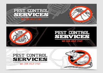 Pest-control-initial-Pest-control-services-Charbagh-lucknow-Uttar-pradesh-2