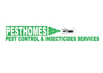 Pest-control-insecticides-services-Pest-control-services-Sector-31-gurugram-Haryana-1