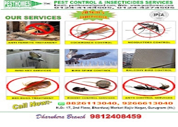 Pest-control-insecticides-services-Pest-control-services-Sector-31-gurugram-Haryana-2