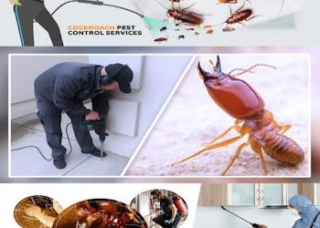 Pest-control-Pest-control-services-Miyapur-hyderabad-Telangana-1