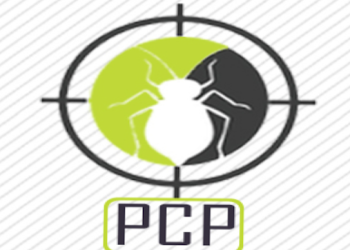 Pest-control-service-Pest-control-services-Villianur-pondicherry-Puducherry-1