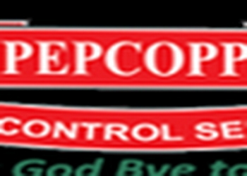 Pest-control-services-in-mumbai-Pest-control-services-Mira-bhayandar-Maharashtra-1