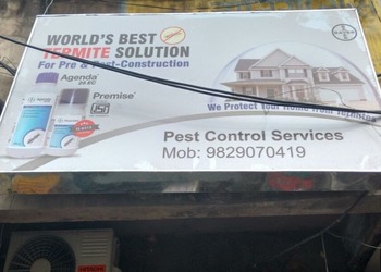 Pest-control-services-Pest-control-services-Civil-lines-jaipur-Rajasthan-1