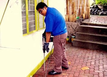 Pest-control-services-Pest-control-services-Civil-lines-jaipur-Rajasthan-2