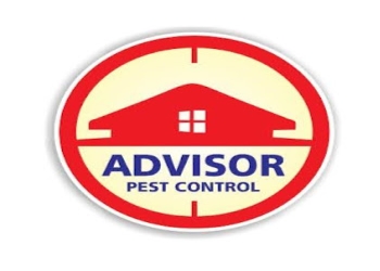 Pest-control-solutions-Pest-control-services-Sarita-vihar-delhi-Delhi-1