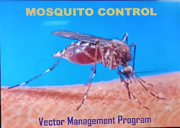 Pest-control-vinayak-Pest-control-services-Nanauta-saharanpur-Uttar-pradesh-1