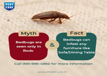 Pest-cure-incorporation-Pest-control-services-Rohini-delhi-Delhi-2