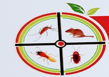 Pest-cure-solutions-Pest-control-services-Mvp-colony-vizag-Andhra-pradesh-1