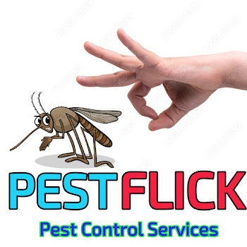 Pest-flick-pest-control-services-Pest-control-services-Udaipur-Rajasthan-1