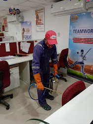Pest-flick-pest-control-services-Pest-control-services-Udaipur-Rajasthan-2