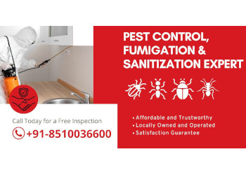 Pest-free-services-Pest-control-services-Indirapuram-ghaziabad-Uttar-pradesh-1