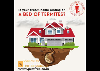 Pest-free-services-Pest-control-services-Indirapuram-ghaziabad-Uttar-pradesh-2