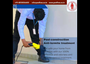 Pest-free-services-Pest-control-services-Indirapuram-ghaziabad-Uttar-pradesh-3