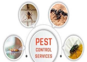 Pest-free-services-Pest-control-services-Indore-Madhya-pradesh-2